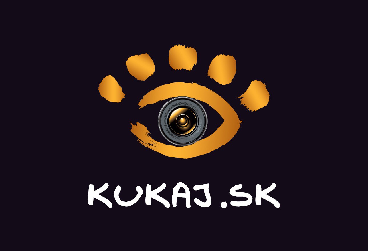 KROMEŘÍŽ, ul. Hulínska